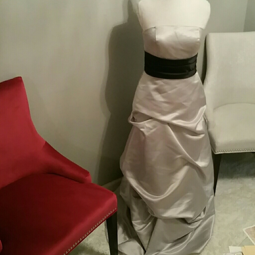 Bill Levkoff Cinderella dress!