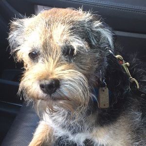 Meet your Posher, Nathan