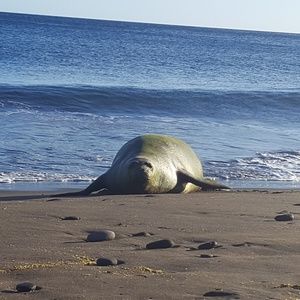 Meet your Posher, Gwen