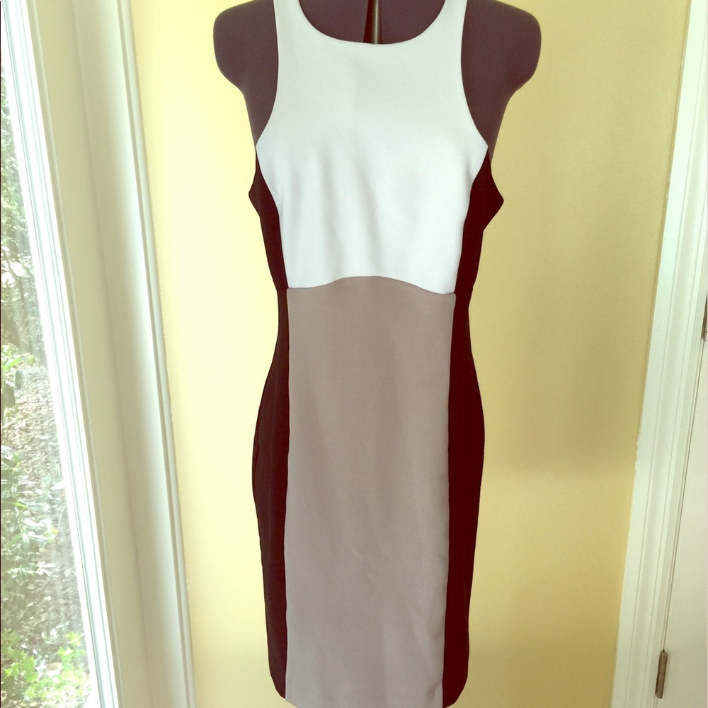 Color block fitted dress from express size 8