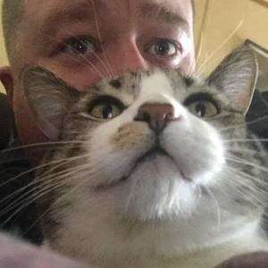 Meet your Posher, Levi