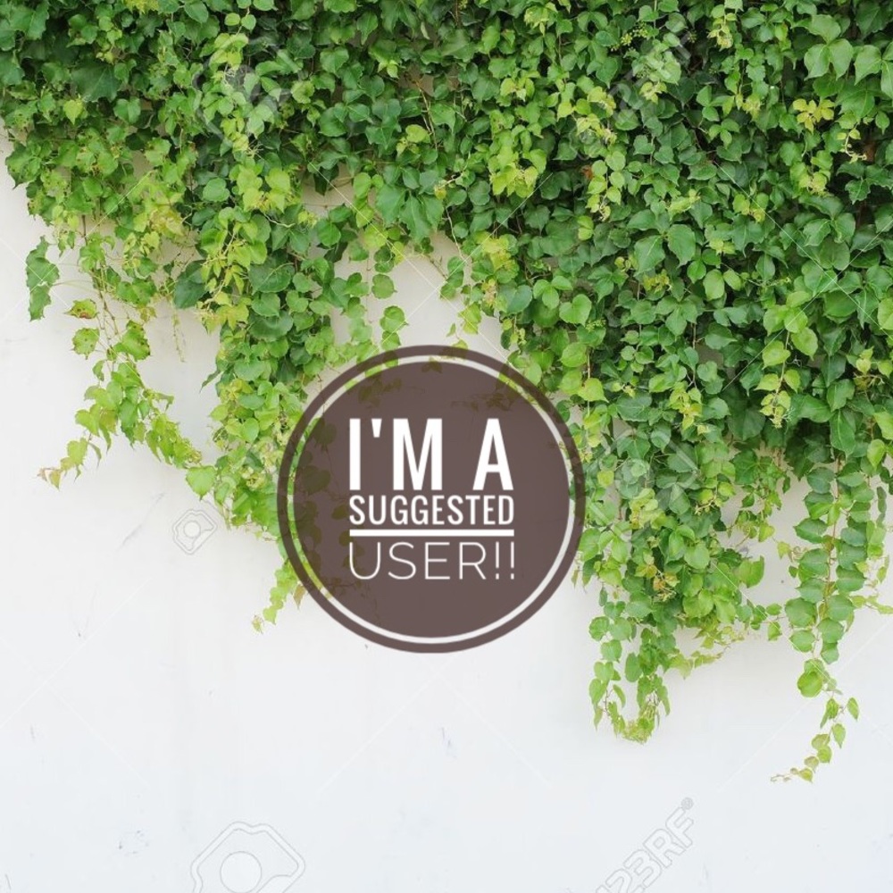 O.M.G ⭐️I'm a SUGGESTED USER!