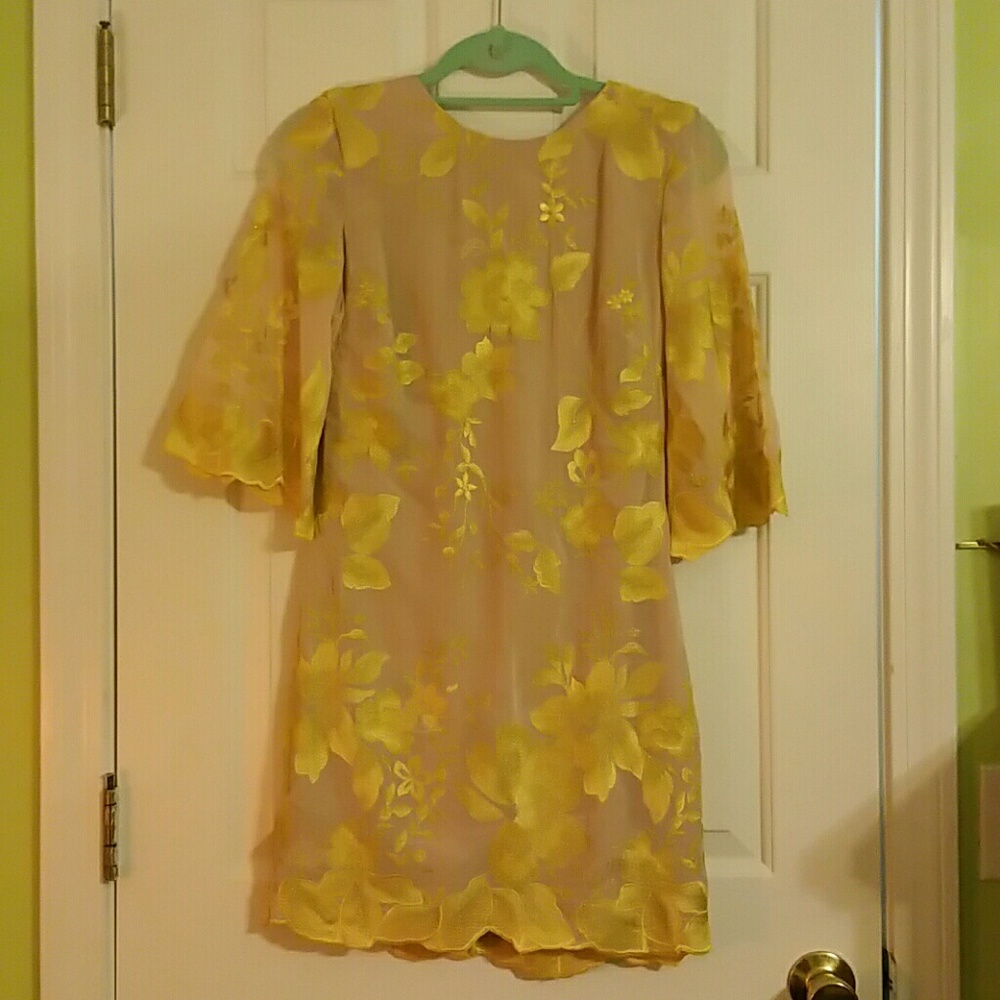 Dress the population size 6 dress