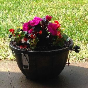 Meet your Posher, Prajakta