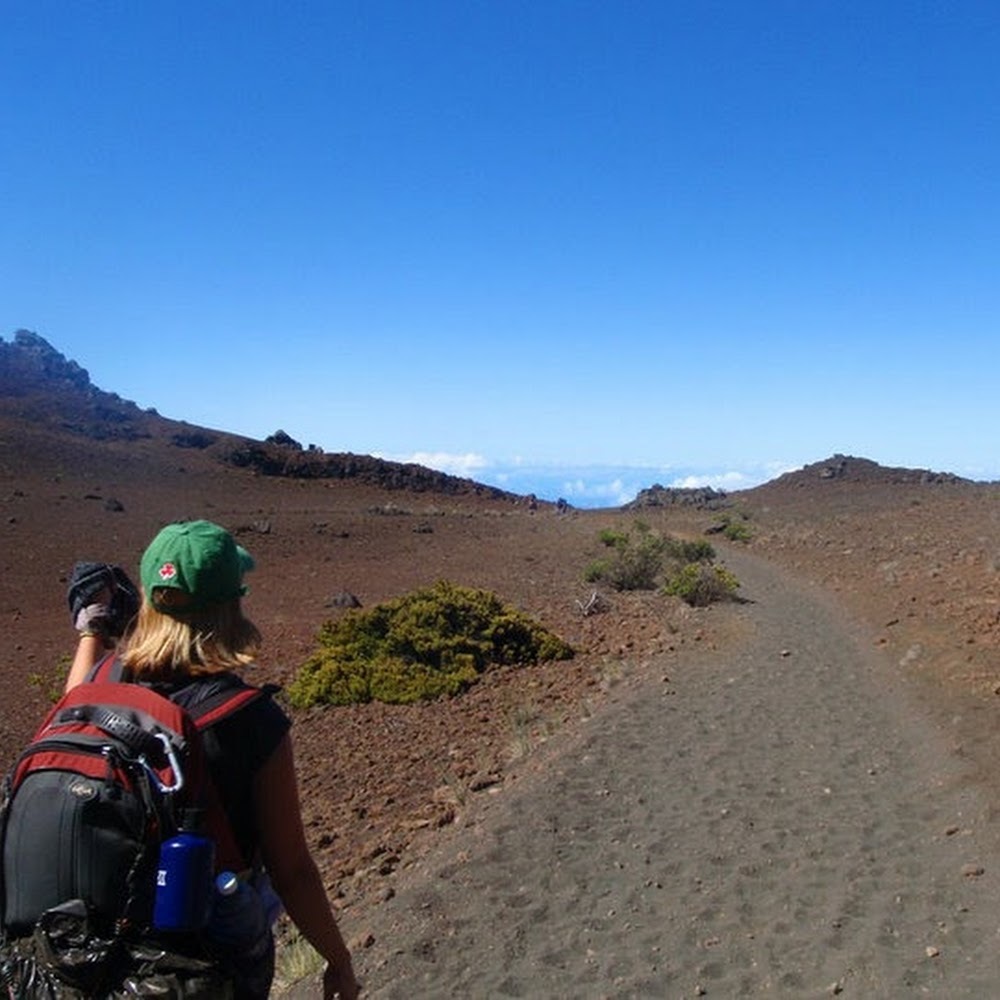 Meet your Posher, Bridget