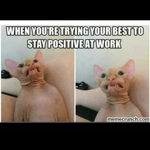 Meet your Posher, Jill