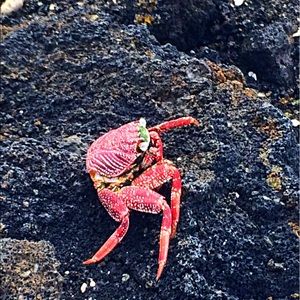 Meet your Posher, Ruby