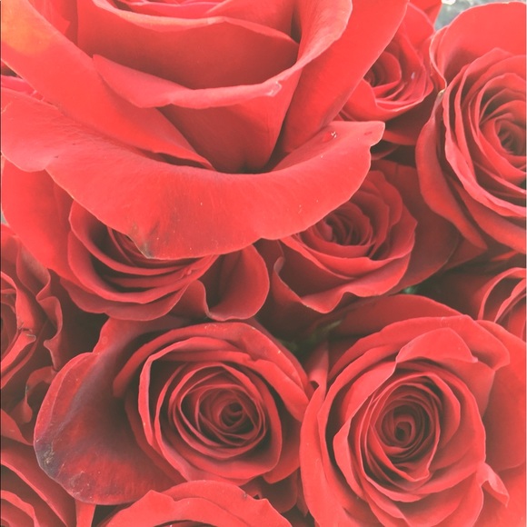 Meet your Posher, Evan - Picture 1 of 1