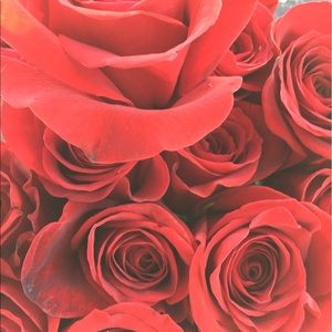 Meet your Posher, Evan