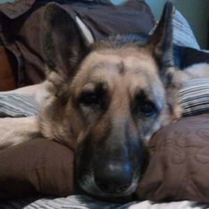 Meet your Posher, Kara