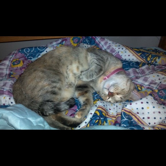 Meet The Posher! - Picture 4 of 5