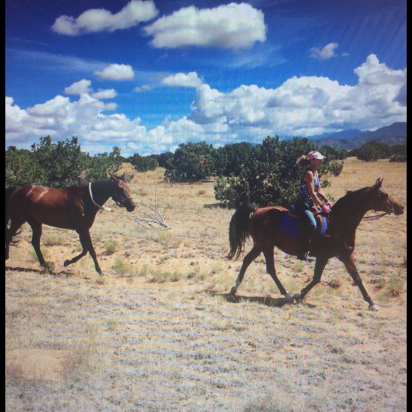 Meet your Posher, Julia - Picture 2 of 8