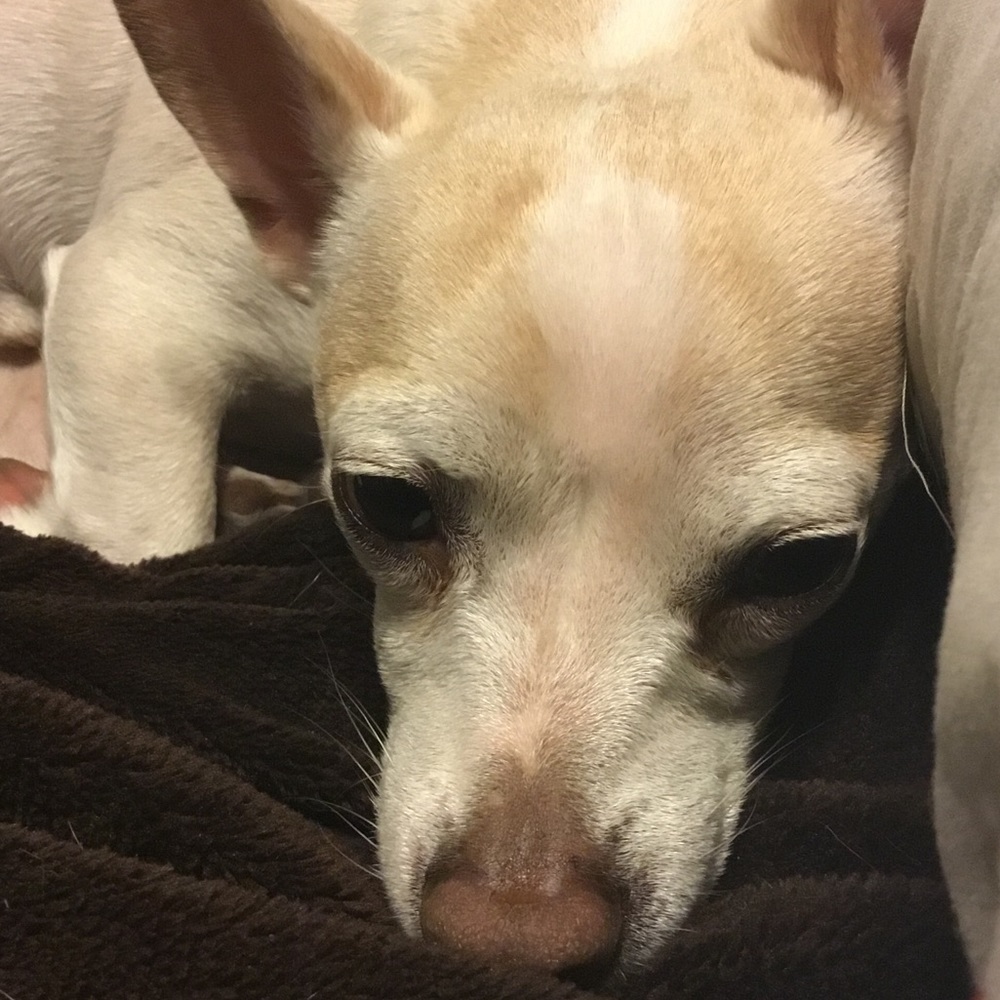 Meet your Posher, Audra