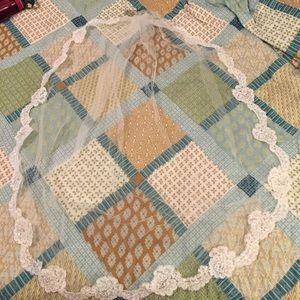 David's bridal Lace appliqué scoop veil