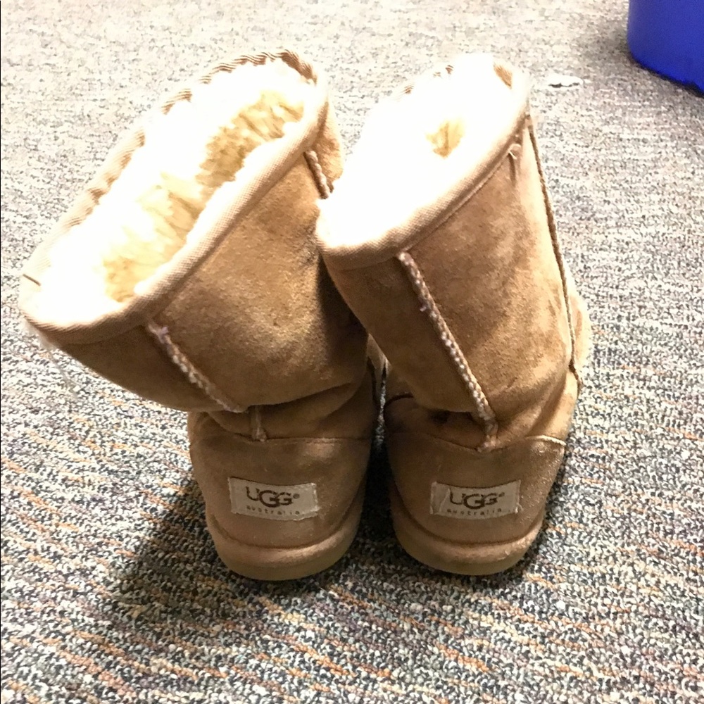 Chestnut Short Uggs