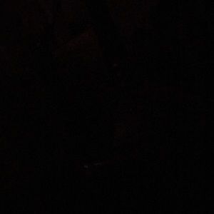 Meet your Posher, Abraham