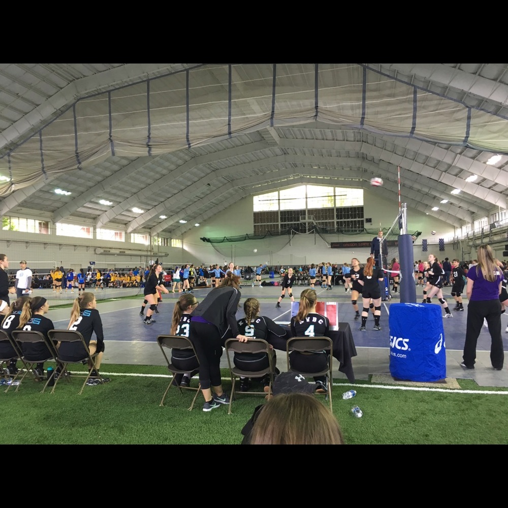 Meet your Posher, Shelbey