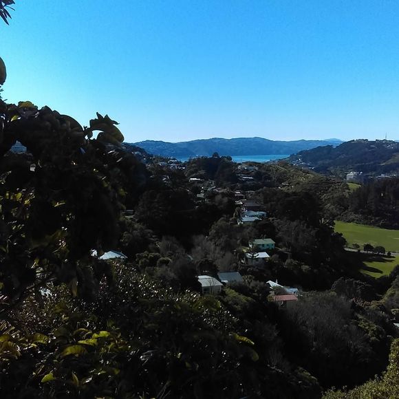 Meet your Posher, Annaliese - Picture 1 of 1