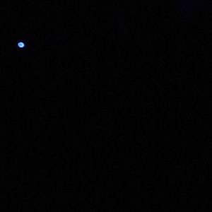 Meet your Posher, Savannah