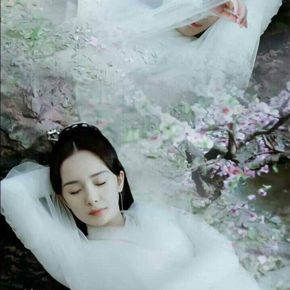 Meet your Posher, Xiaojing
