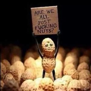 Meet your Posher, Evette