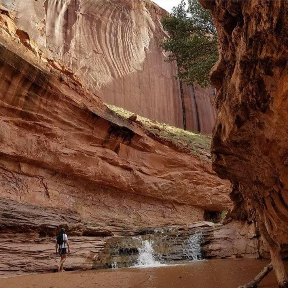 Meet your Posher, Patrick