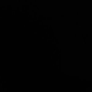 Meet your Posher, Joanna