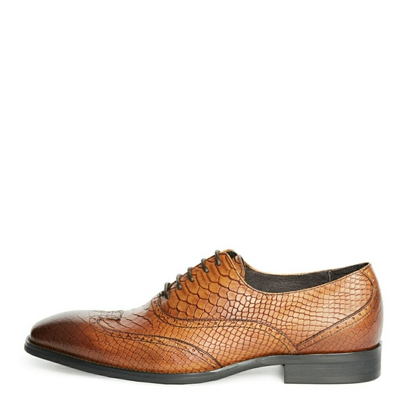 JUMP NEWYORK Dragon Tan Wingtip Oxfords - Picture 2 of 7