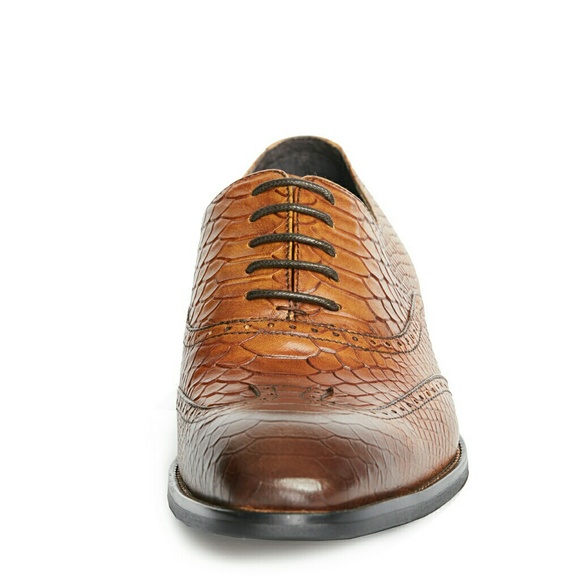 JUMP NEWYORK Dragon Tan Wingtip Oxfords - Picture 5 of 7