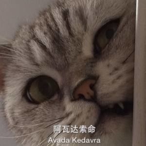 Meet your Posher, Xiaolan