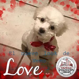 Meet your Posher, Sonia