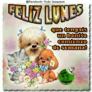 Meet your Posher, Mercedes