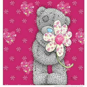 Meet your Posher, Terri