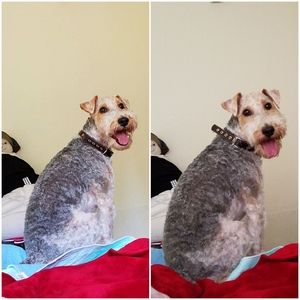 Meet your Posher, Juana