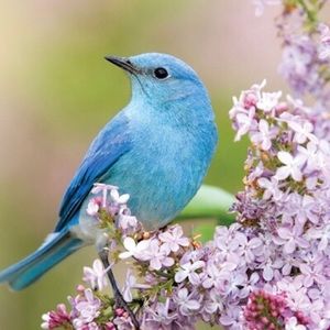 Meet your Posher, Lynne