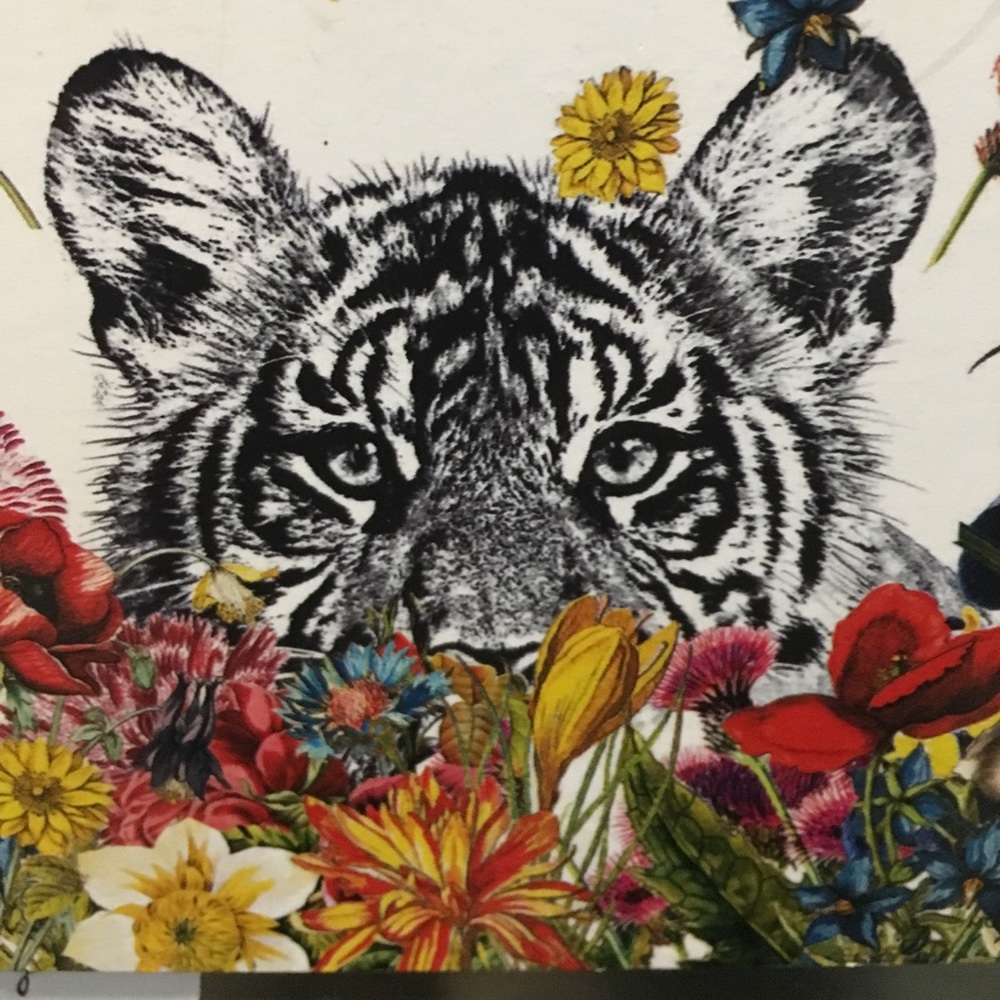 Meet your Posher, Ravikanth