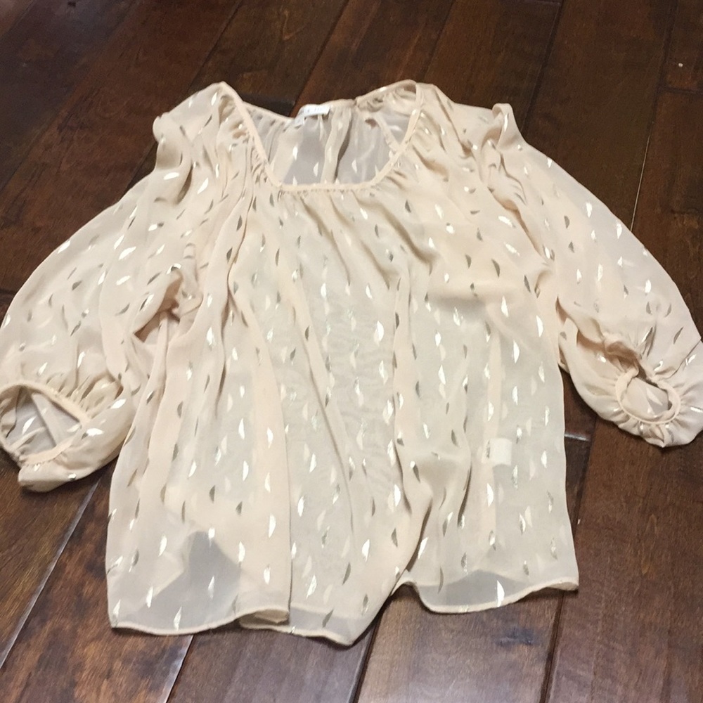 Chandi and Lia metallic blouse - Picture 7 of 7