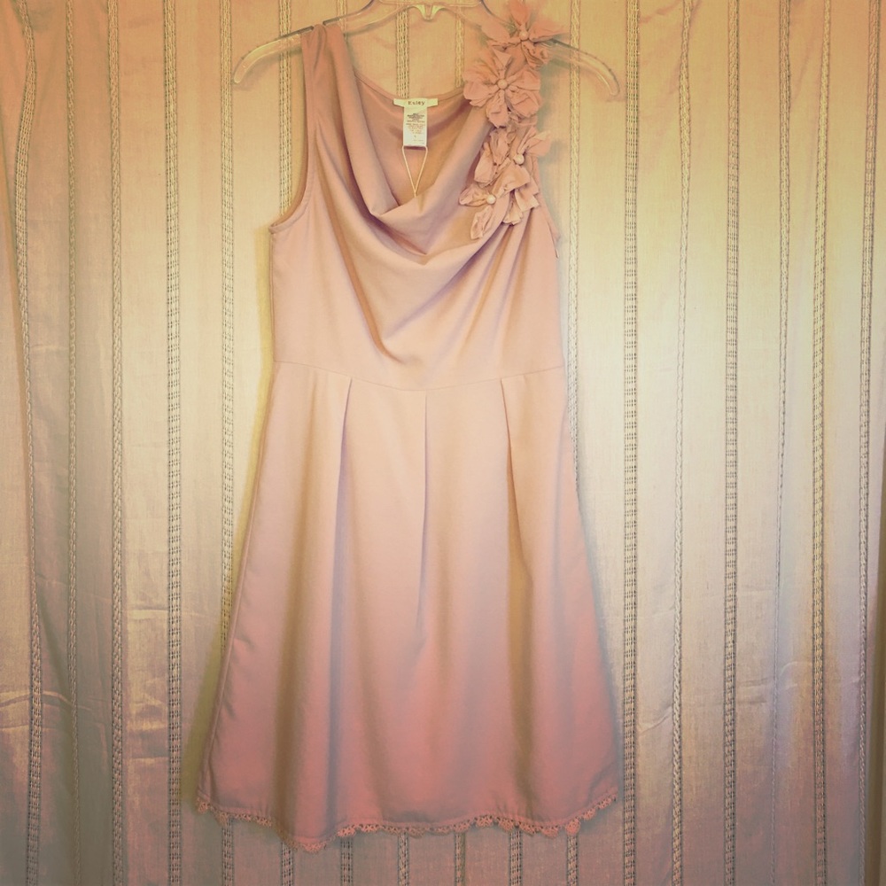 NWT Blush Esley Dress