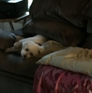 Meet your Posher, Lynda