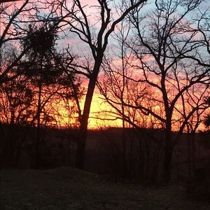 Meet your Posher, Jessie