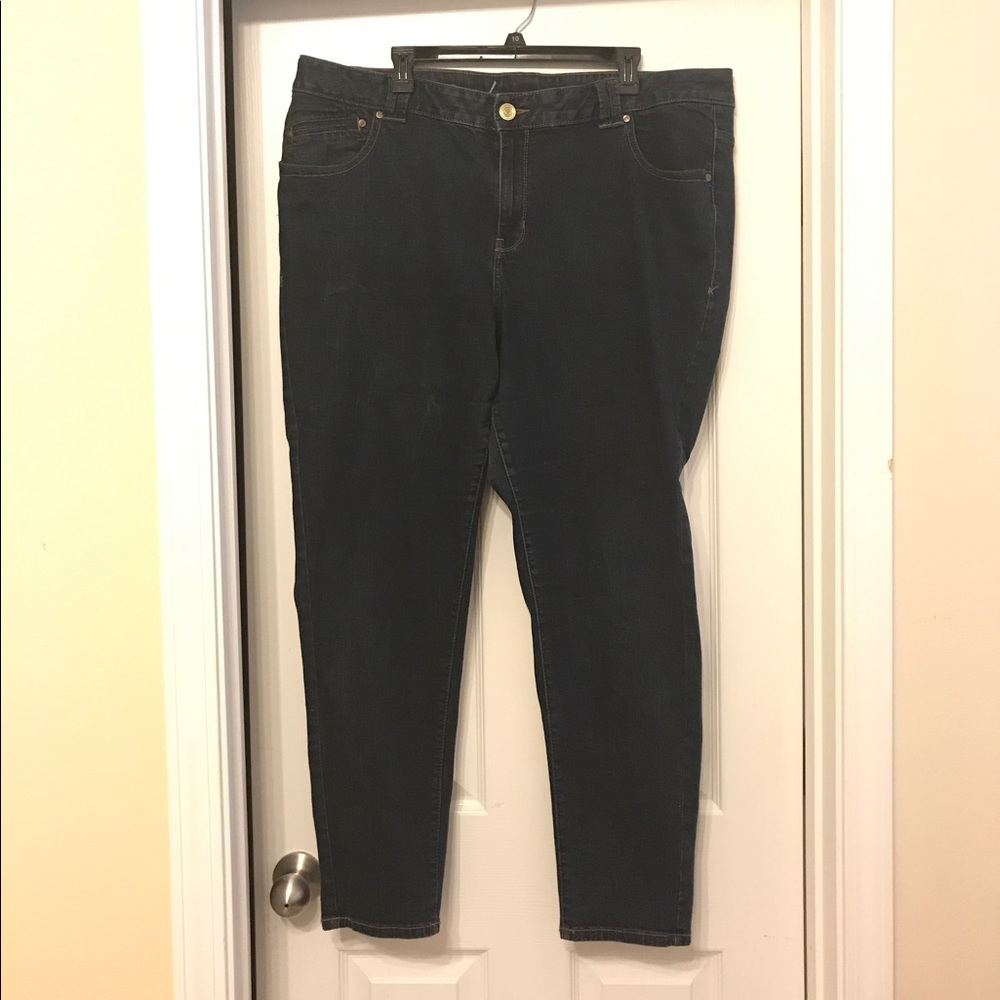Lane Bryant Genius Fit Skinny Jeans