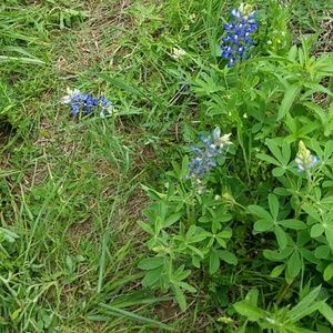 Meet your Posher, Abigail