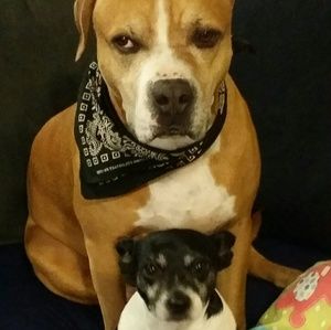 Meet your Posher, Crystle