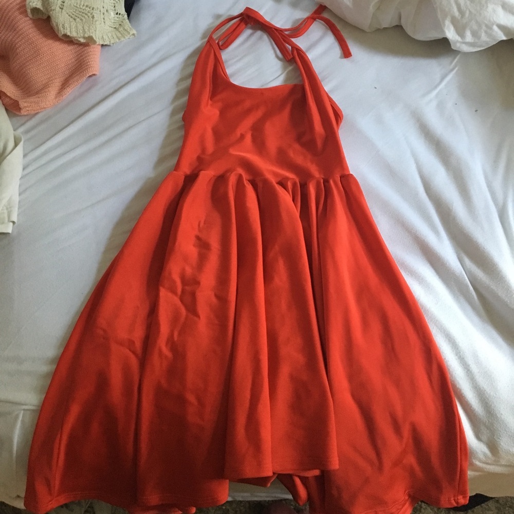 American Apparel nylon skater dress