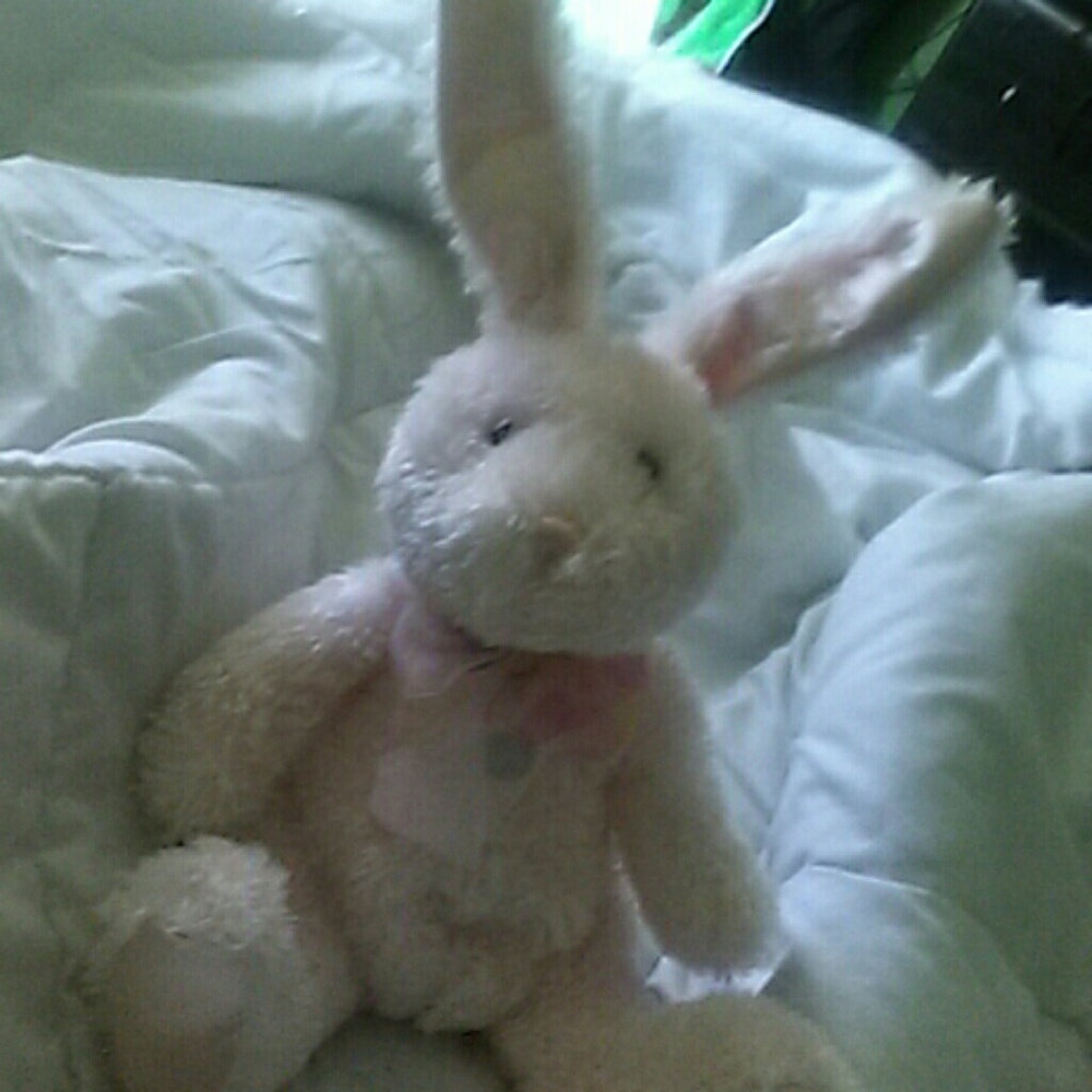 Stuffed bunny