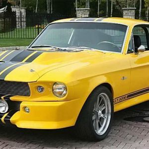 Meet your Posher, Torres