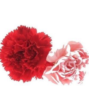 Meet your Posher, Un kyeong