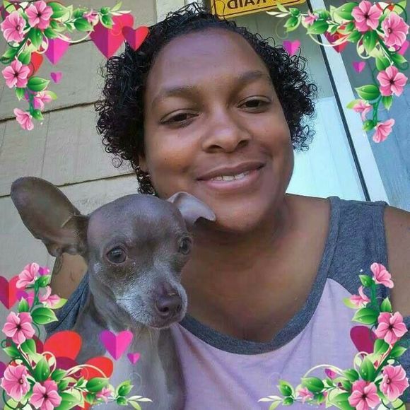 Meet your Posher, Ivy - Picture 1 of 1