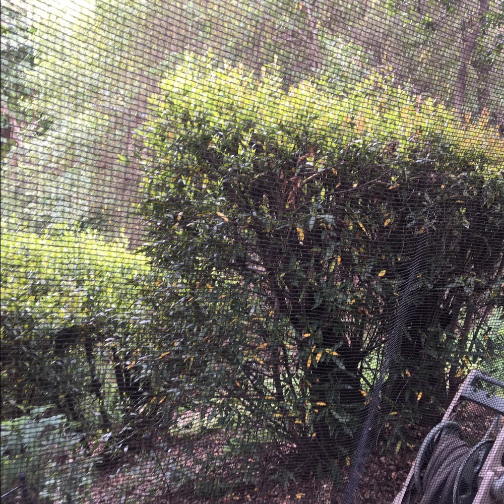 Meet your Posher, Dusti