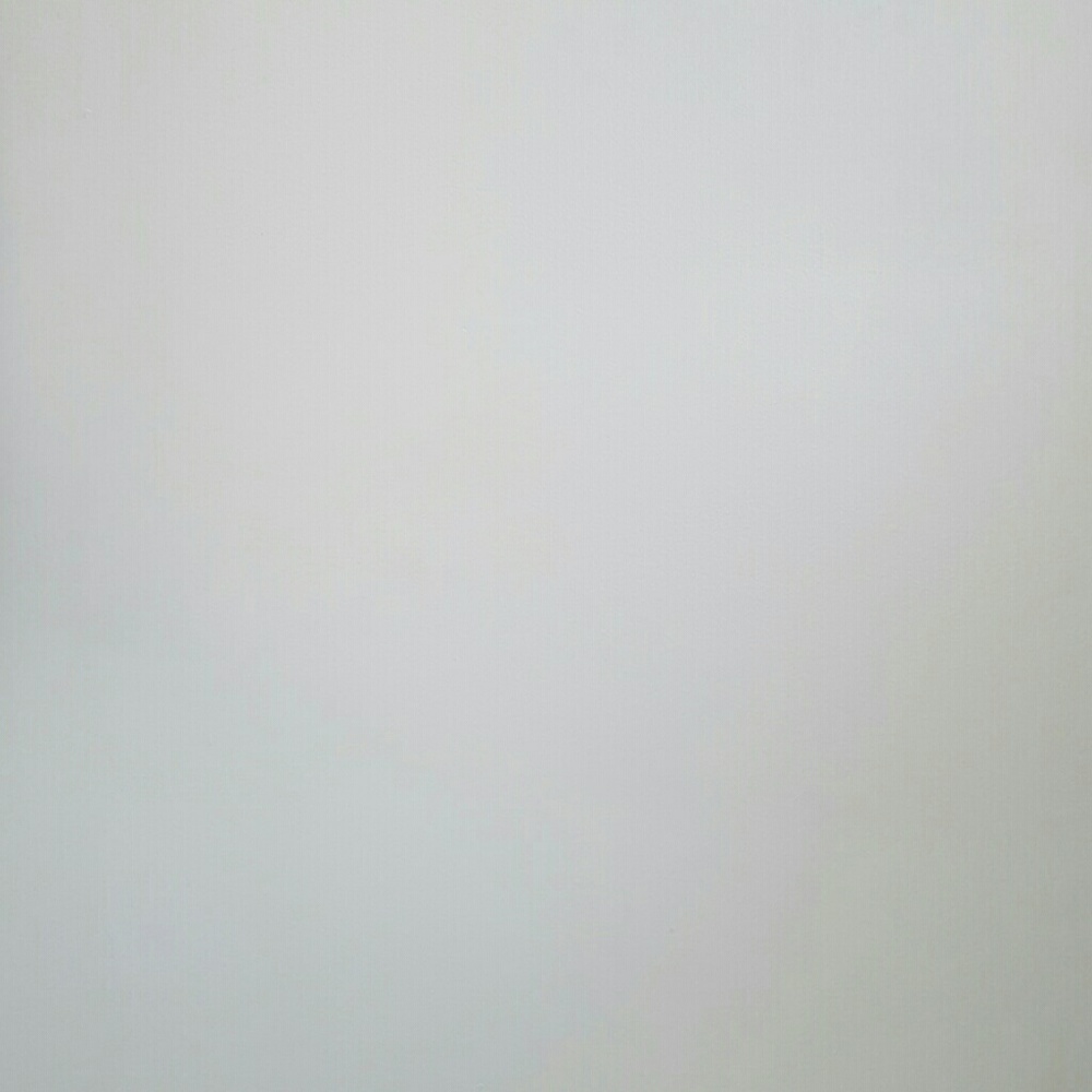 Meet your Posher, Bug